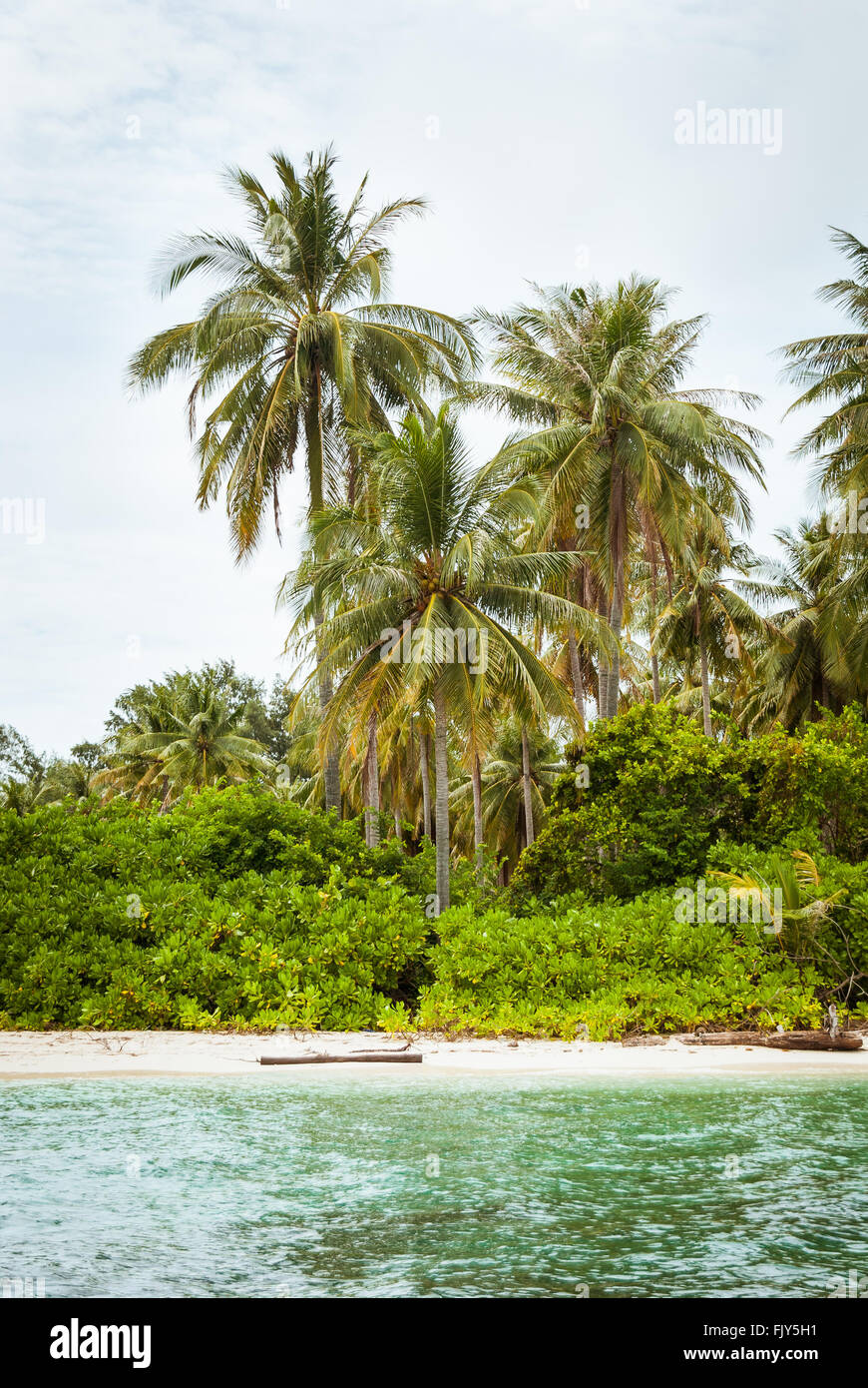 Una spiaggia di sabbia bianca e la vegetazione tropicale sull'isola di Gosong Tengah, Karimunjawa, Indonesia. Foto Stock