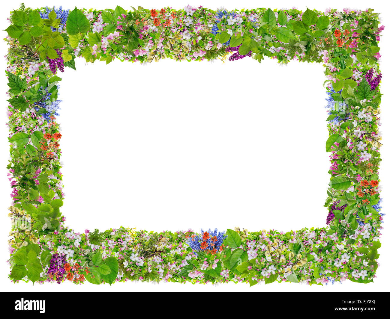 Verde di pace di Pasqua photo frame abstract collage realizzato dalla molla di fresco rami di piante e fiori. Isolato Foto Stock