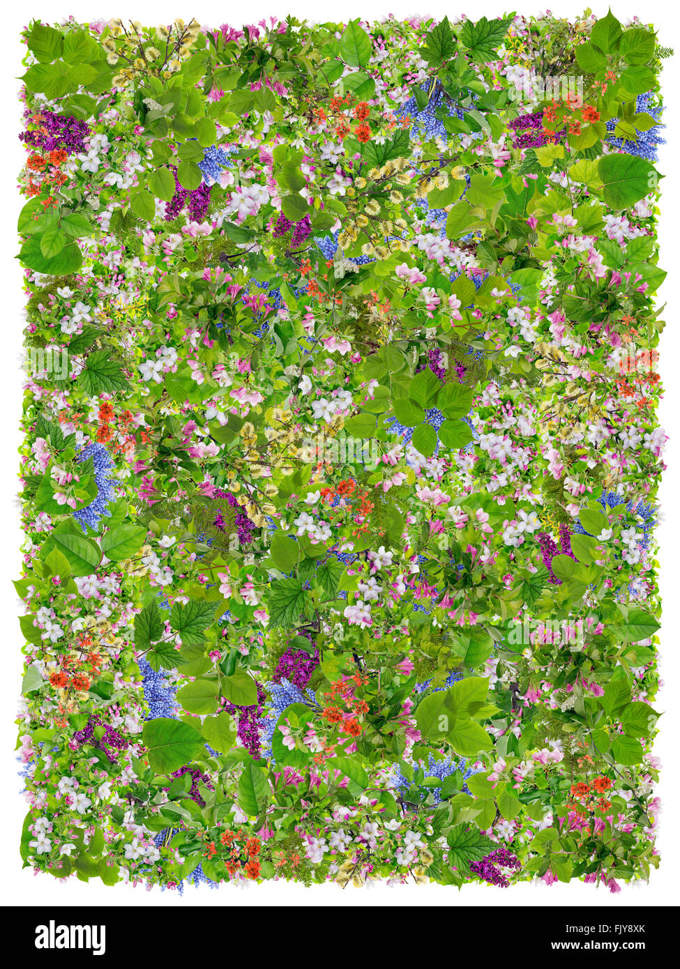 Pasqua verde preghiere Rug abstract collage realizzato dalla molla di fresco rami di piante e fiori. Isolato Foto Stock