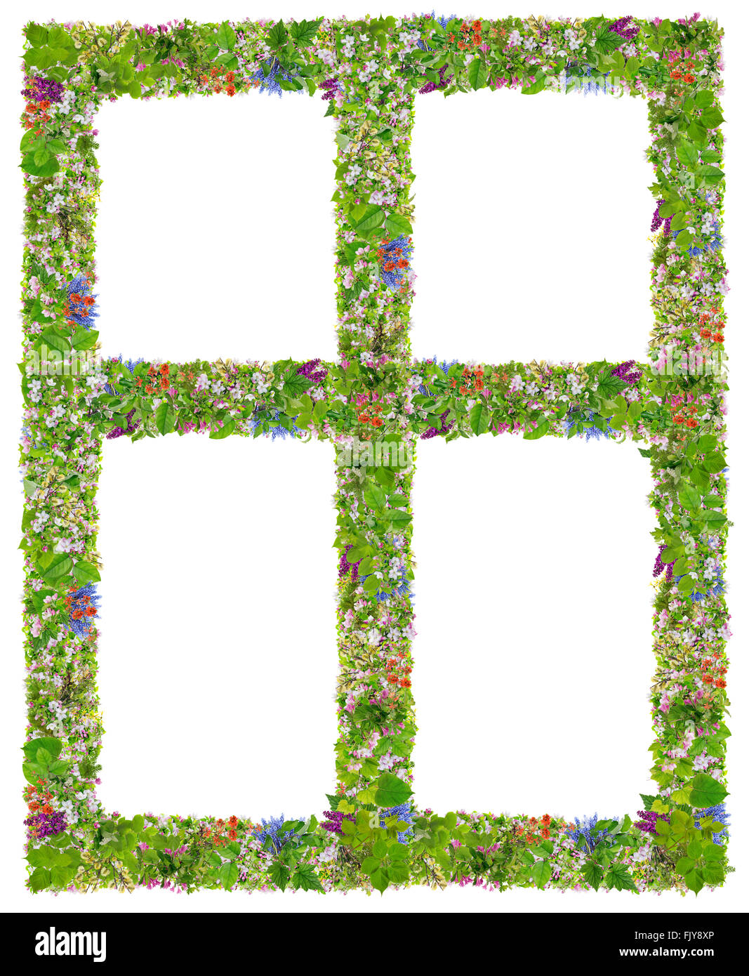Green Spreng Eco telaio windows abstract collage realizzato dalla molla di fresco rami di piante e fiori. Isolato Foto Stock