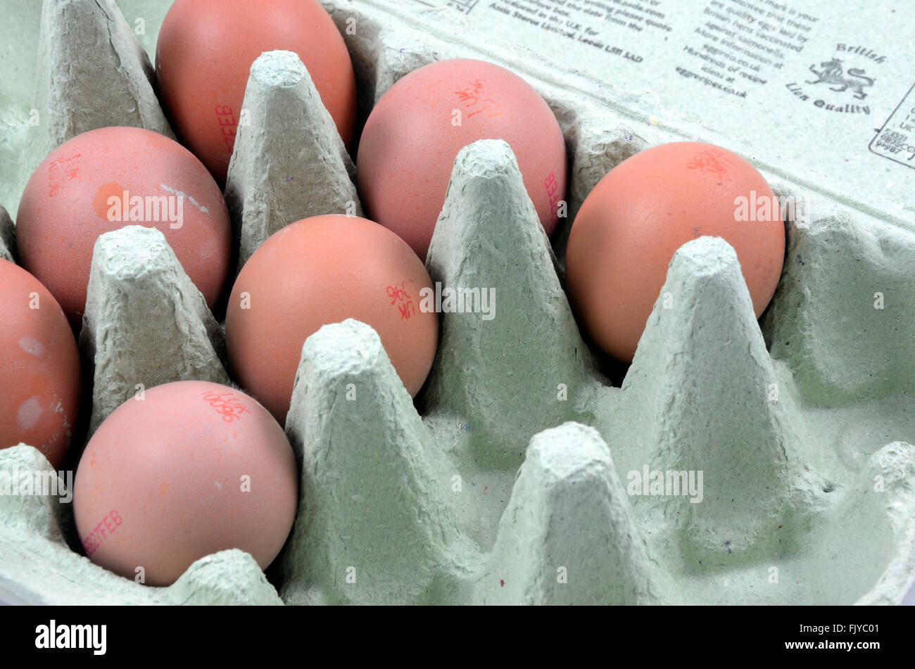 Le uova in un cartone uovo box. Foto Stock