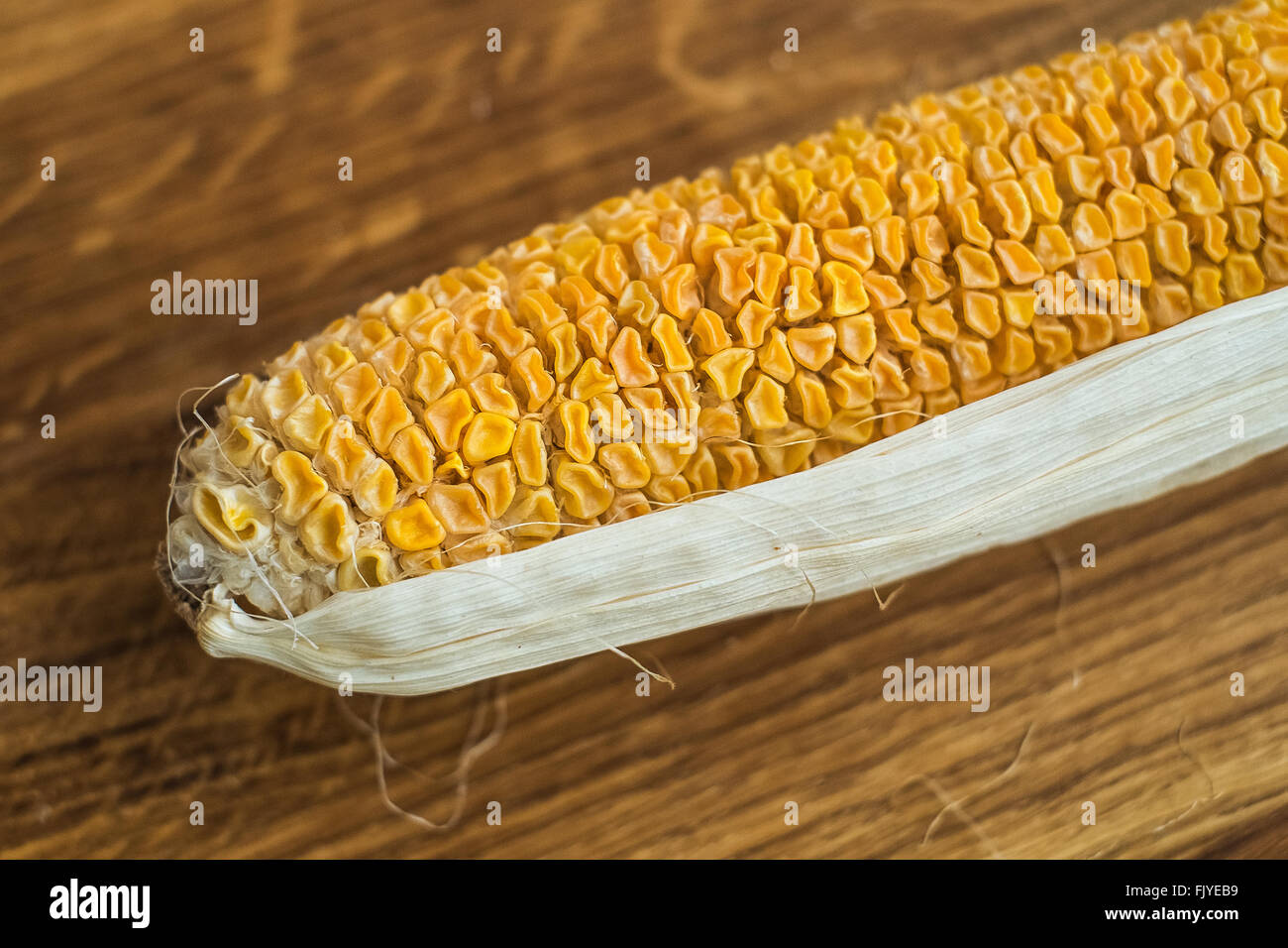 Lo scorso anno il raccolto di mais dopo 6 mesi di conservazione. I semi secchi pronti per la semina. Primavera tempo di agricoltura. Alimenti biologici sfondo Foto Stock