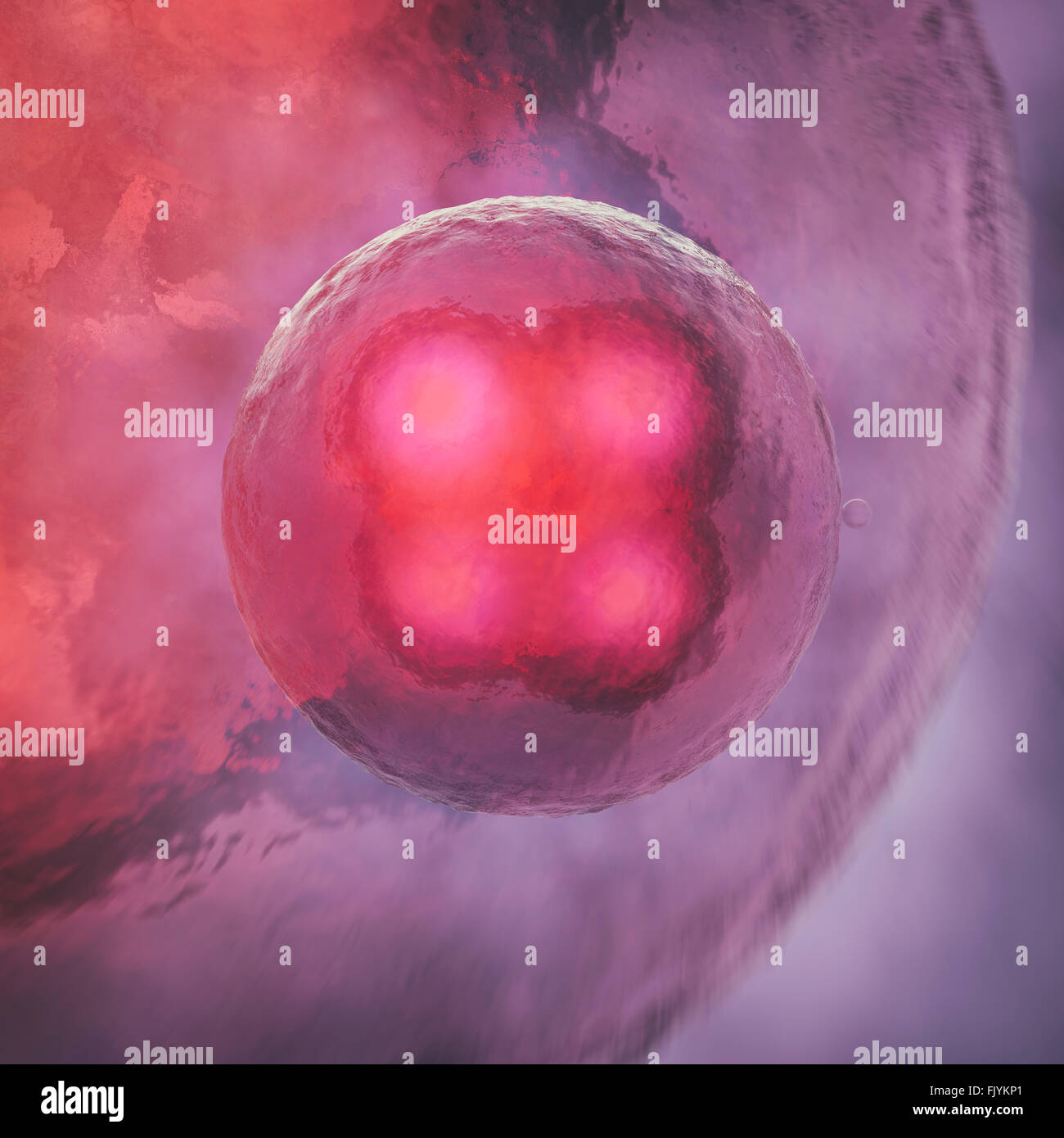 Divisione cellulare Foto Stock