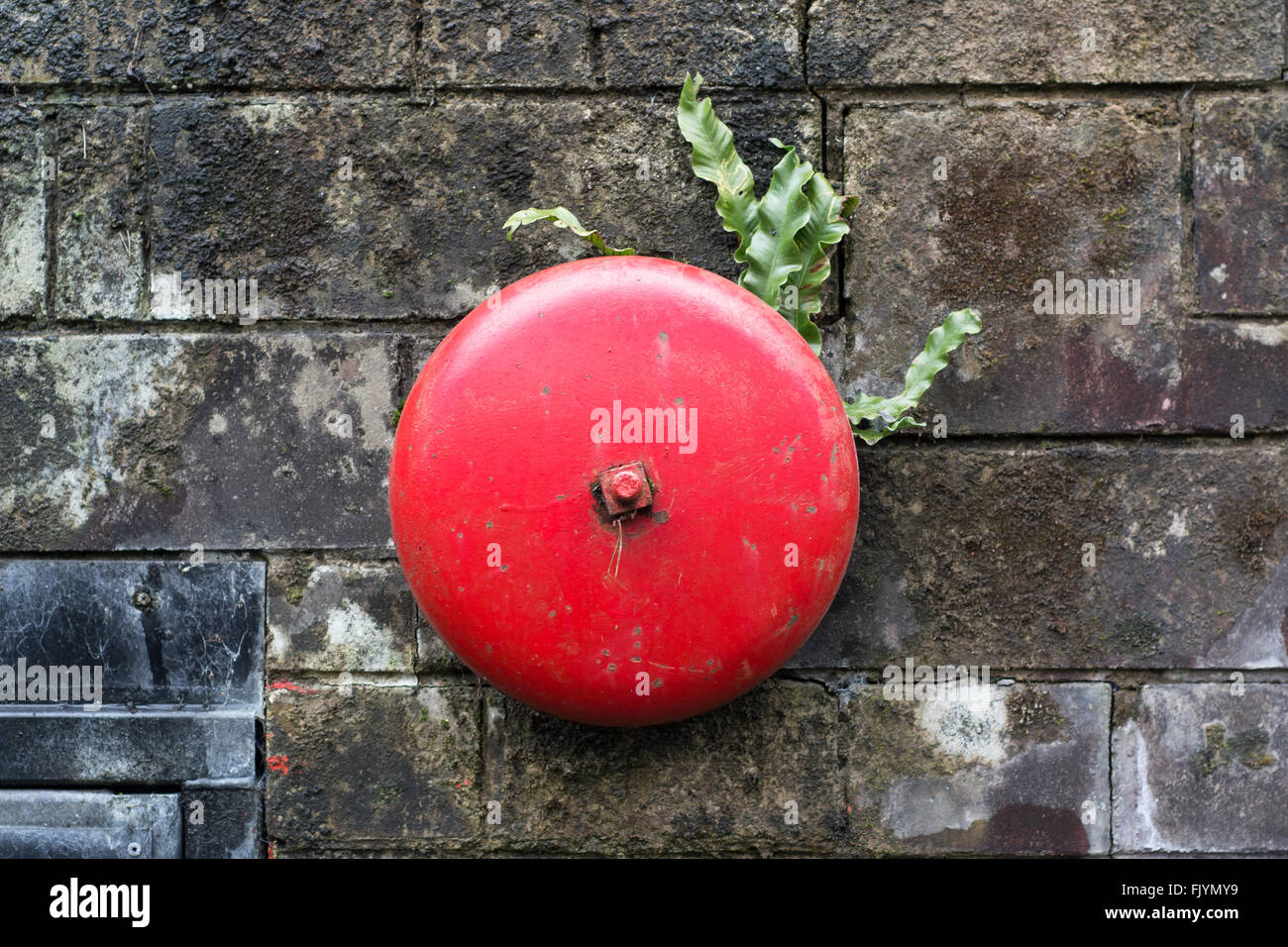 In vecchio stile rosso campanello di allarme. Un metallo allarme incendio con felci crescente dietro di esso, montato al buio su un muro di mattoni Foto Stock