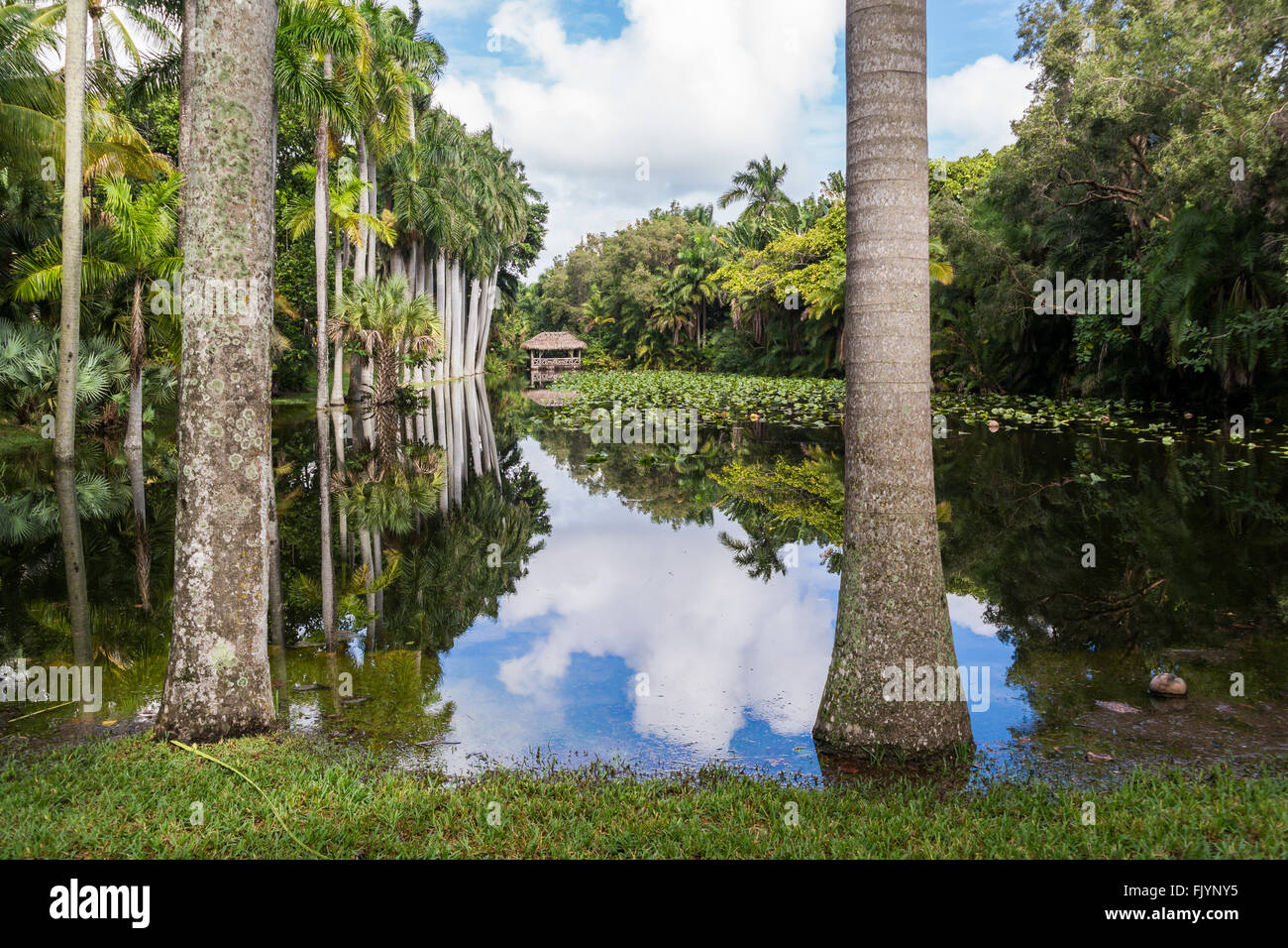 Casa del cofano slough nei giardini del museo estate in Fort Lauderdale, Florida, Stati Uniti d'America Foto Stock