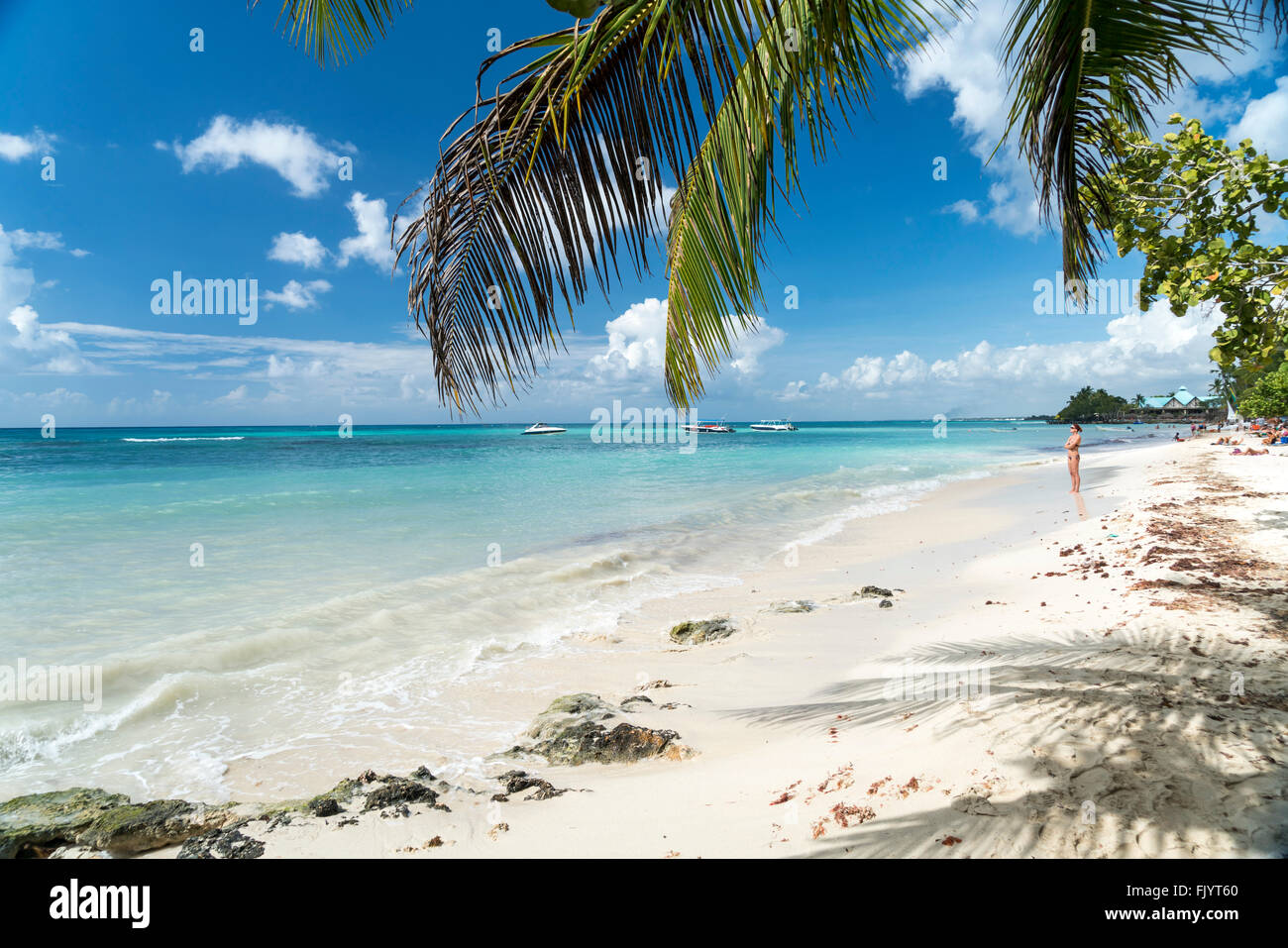 Orlata di palme sulla spiaggia sabbiosa di Bayahibe Repubblica Dominicana, Caraibi, America, Foto Stock