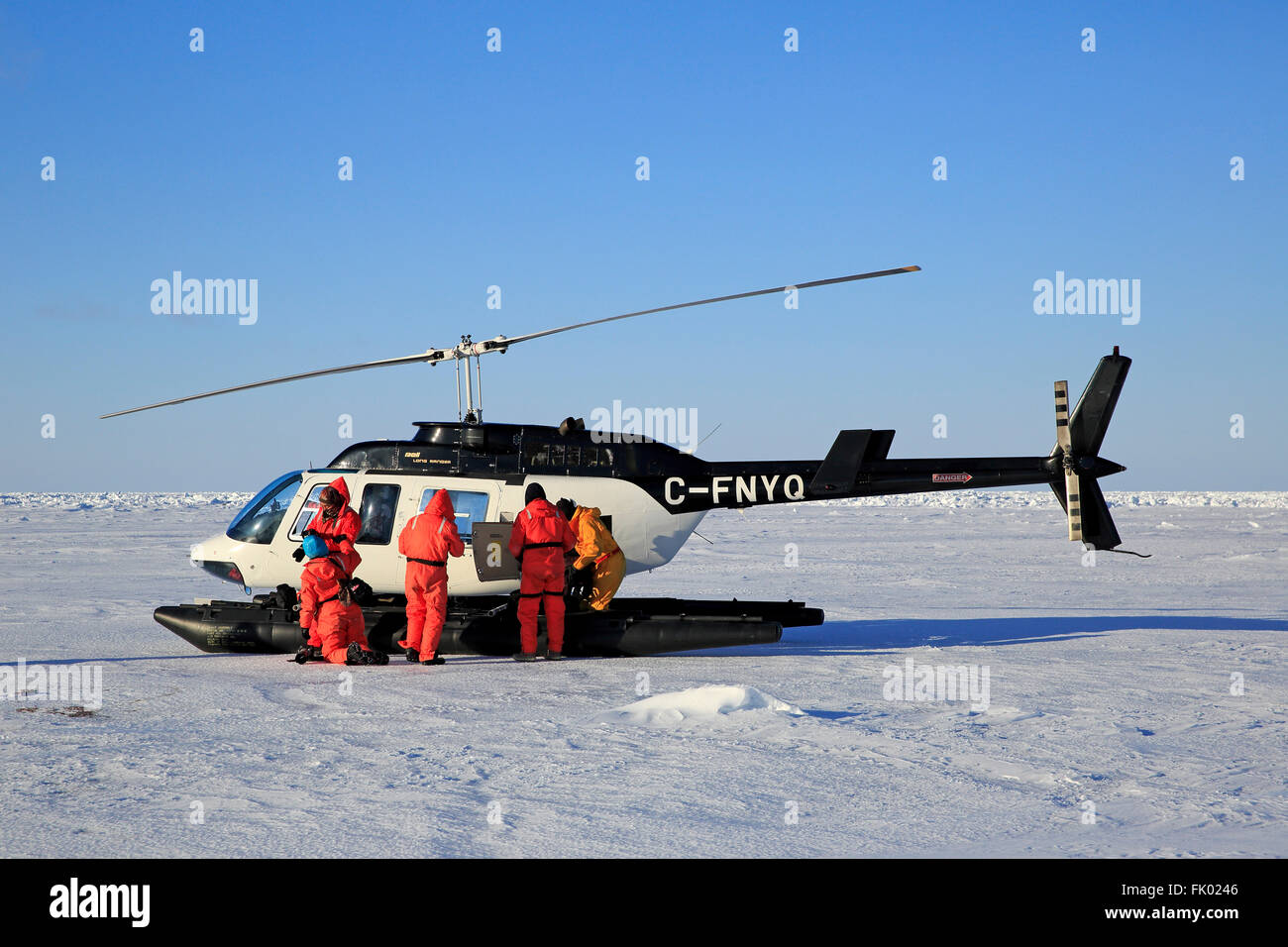 Viaggio a foche groenlandiche, elicottero preparato per il volo, sulla banchisa, le isole della Maddalena, Golfo di San Lorenzo, Quebec, Canada, America del Nord Foto Stock