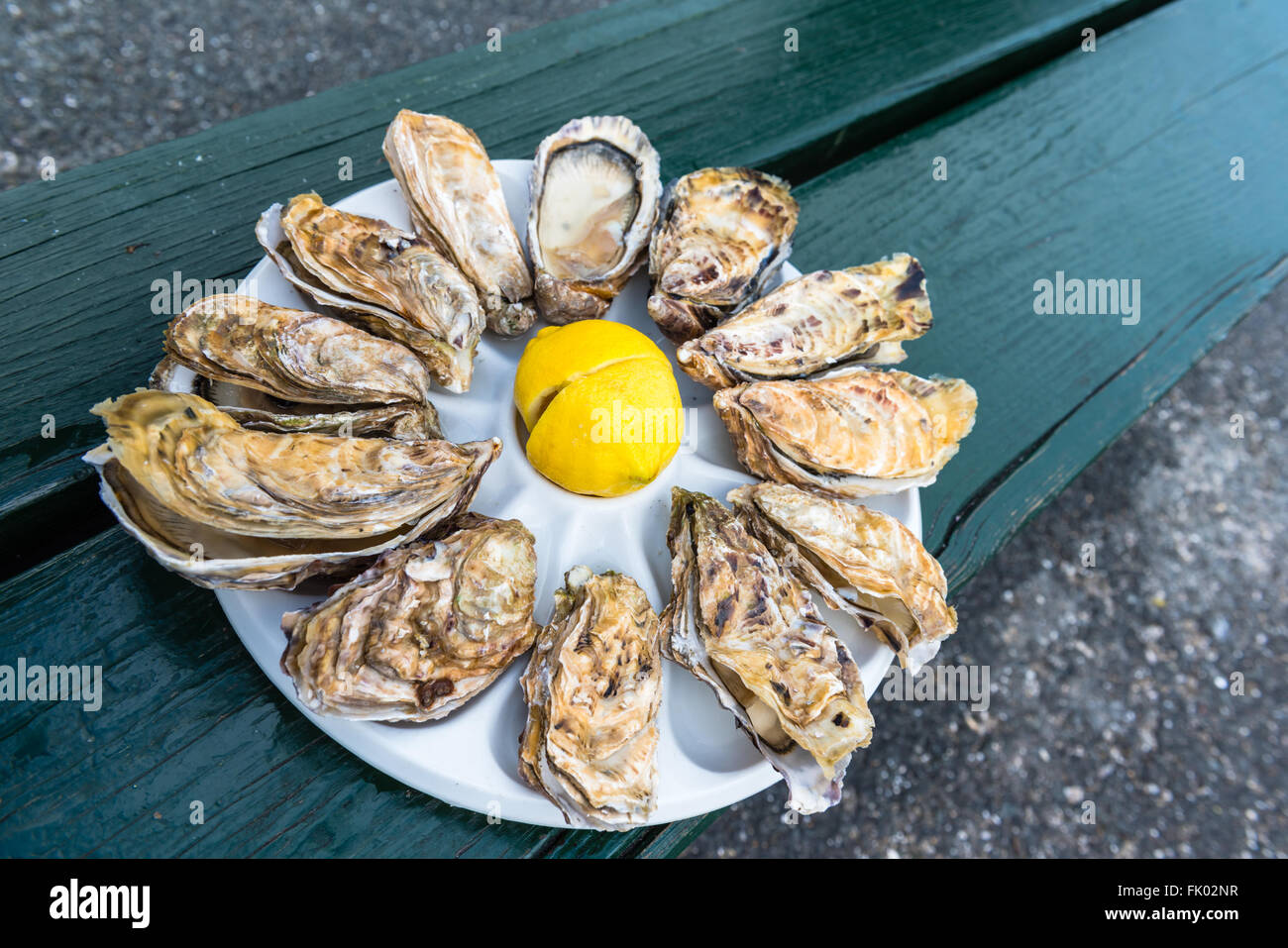 Una dozzina di ostriche e di limone su una piastra di plastica di mangiare all'aperto vicino al mare Foto Stock
