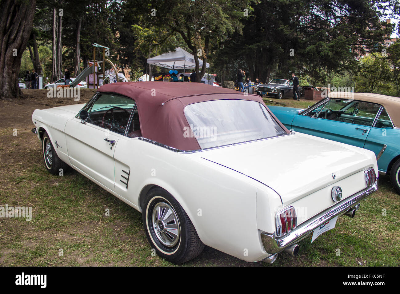 Mustang Classic Car Foto Stock