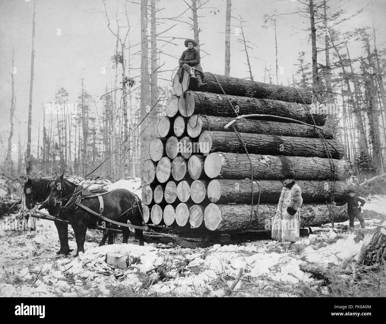 Due Lumberjack con carico di tronchi trainati da due cavalli in Winter, USA, Detroit Publishing Company, 1908 Foto Stock