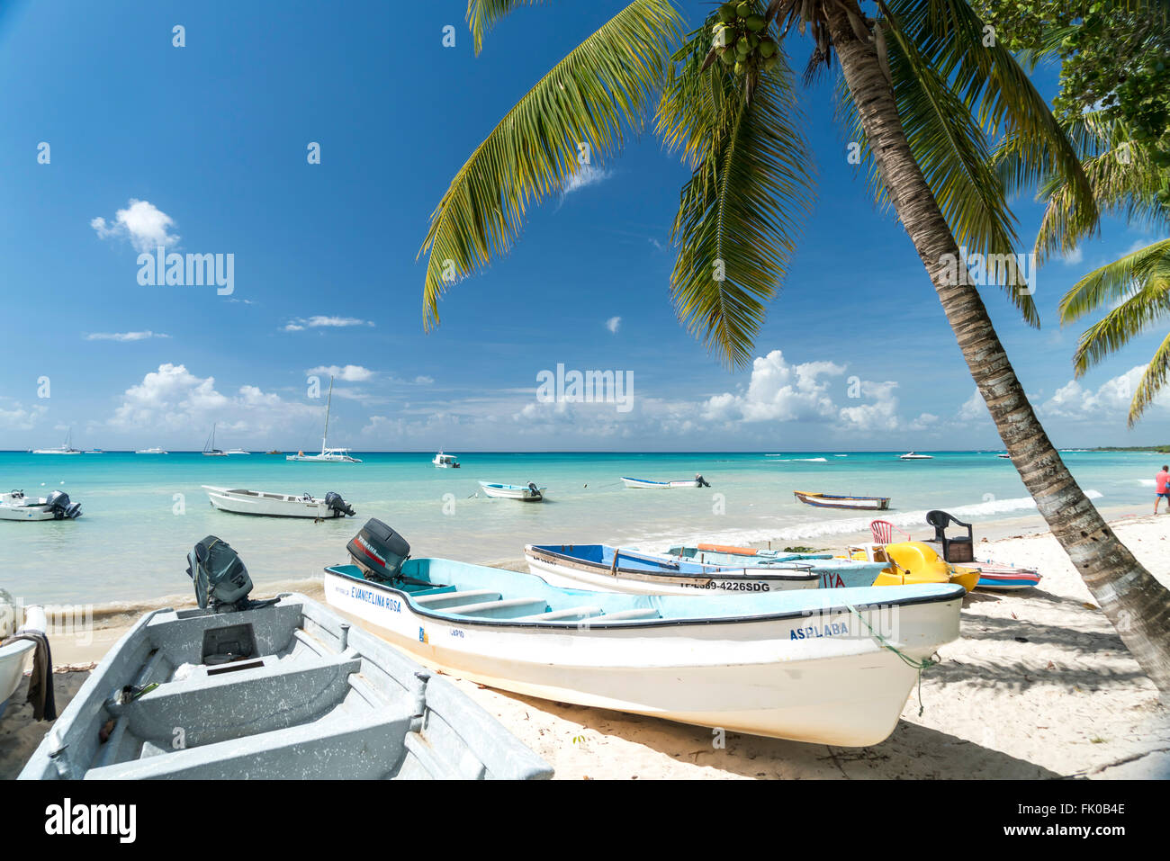 Barche sul orlata di palme sulla spiaggia sabbiosa di Bayahibe Repubblica Dominicana, Caraibi, America, Foto Stock