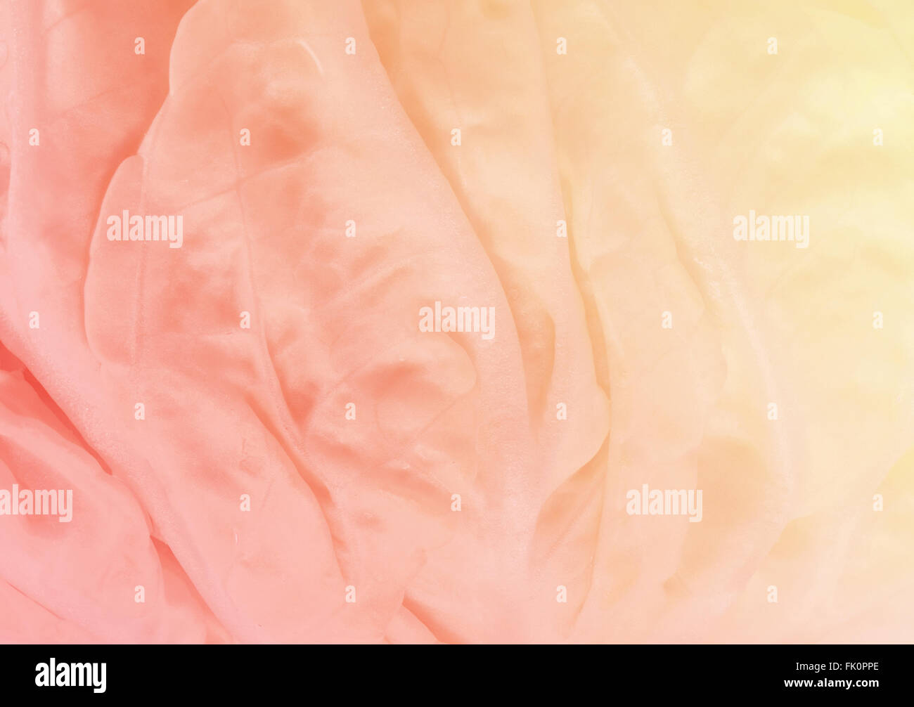 Texture astratta di cavolo in colori pastello Foto Stock