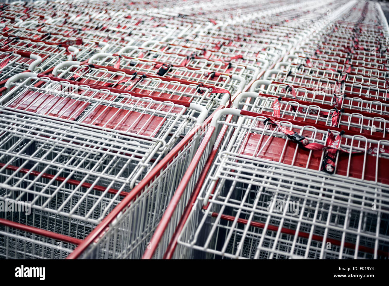 Righe di vetture di shopping in un negozio Foto Stock