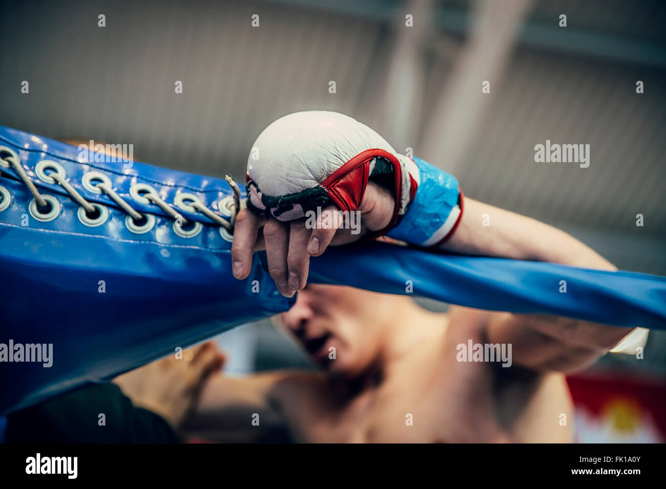 Mano nel guanto fighter è su funi; break tra i cicli in una lotta di arti marziali miste Foto Stock