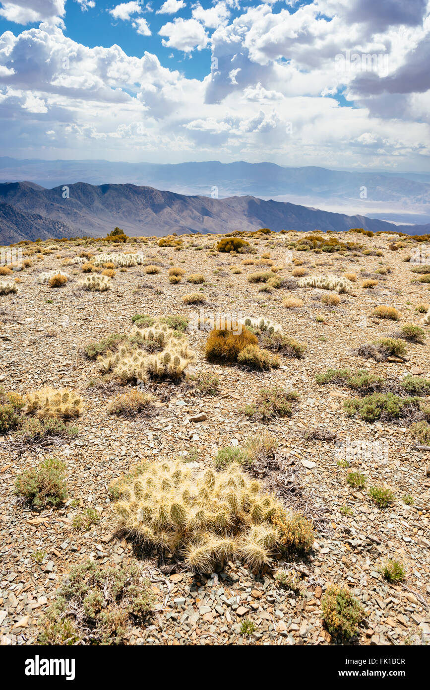 La vista da Wildrose picco nella gamma Panamint del Parco Nazionale della Valle della Morte, California Foto Stock