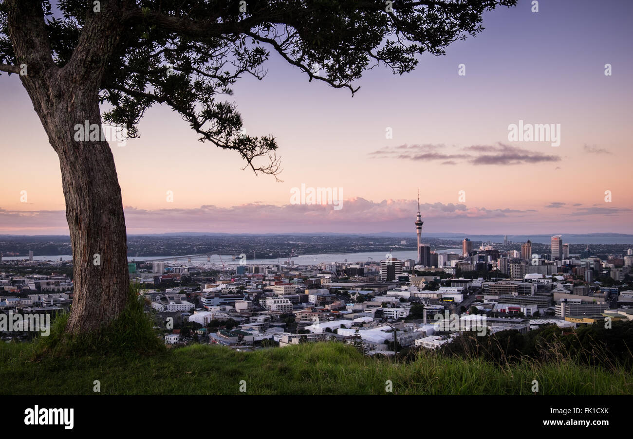 Una vista Auckland al tramonto dal resto vulcano, Mt. Eden. Foto Stock