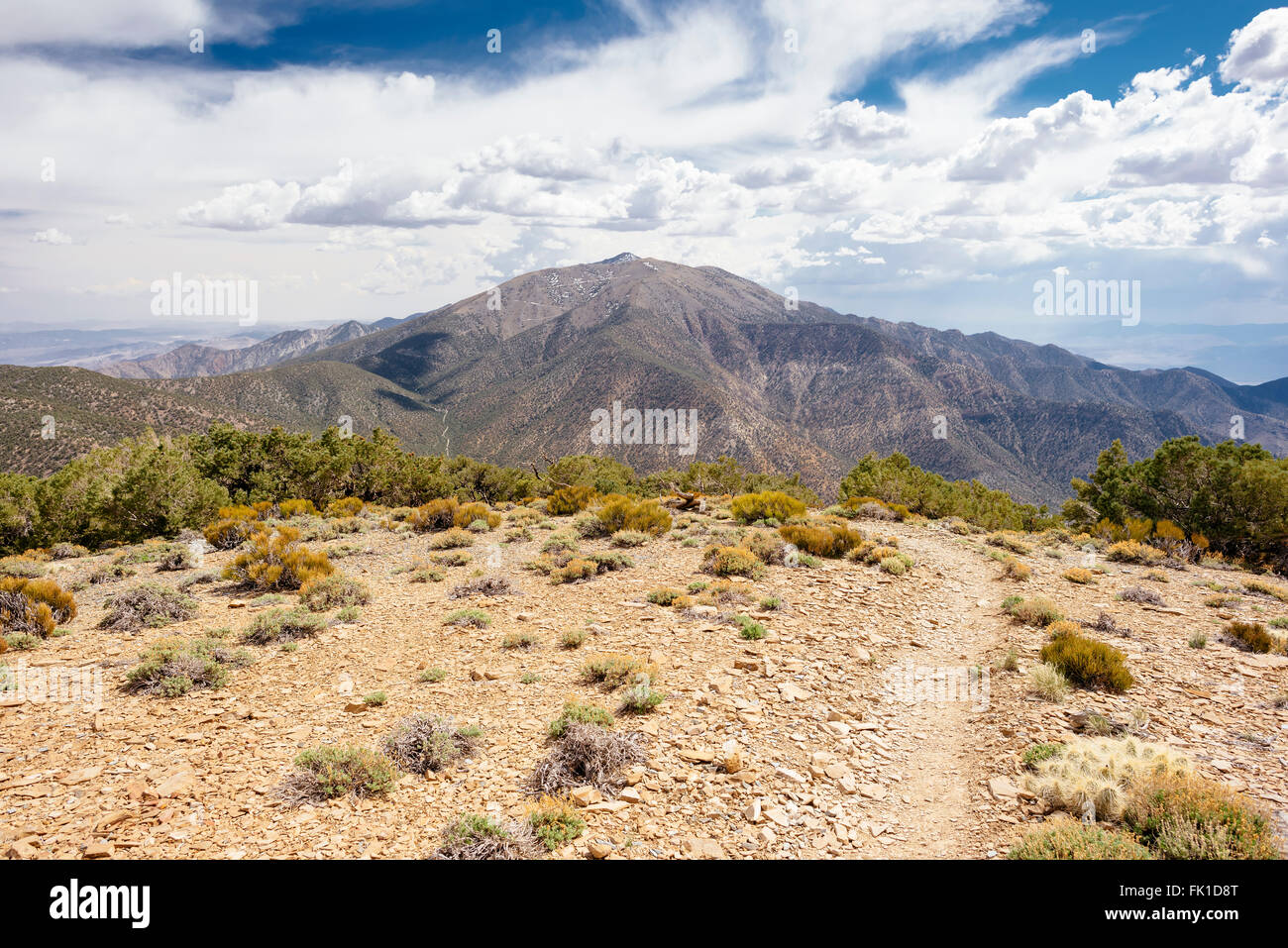 Wildrose Peak Trail nel Parco Nazionale della Valle della Morte, California Foto Stock