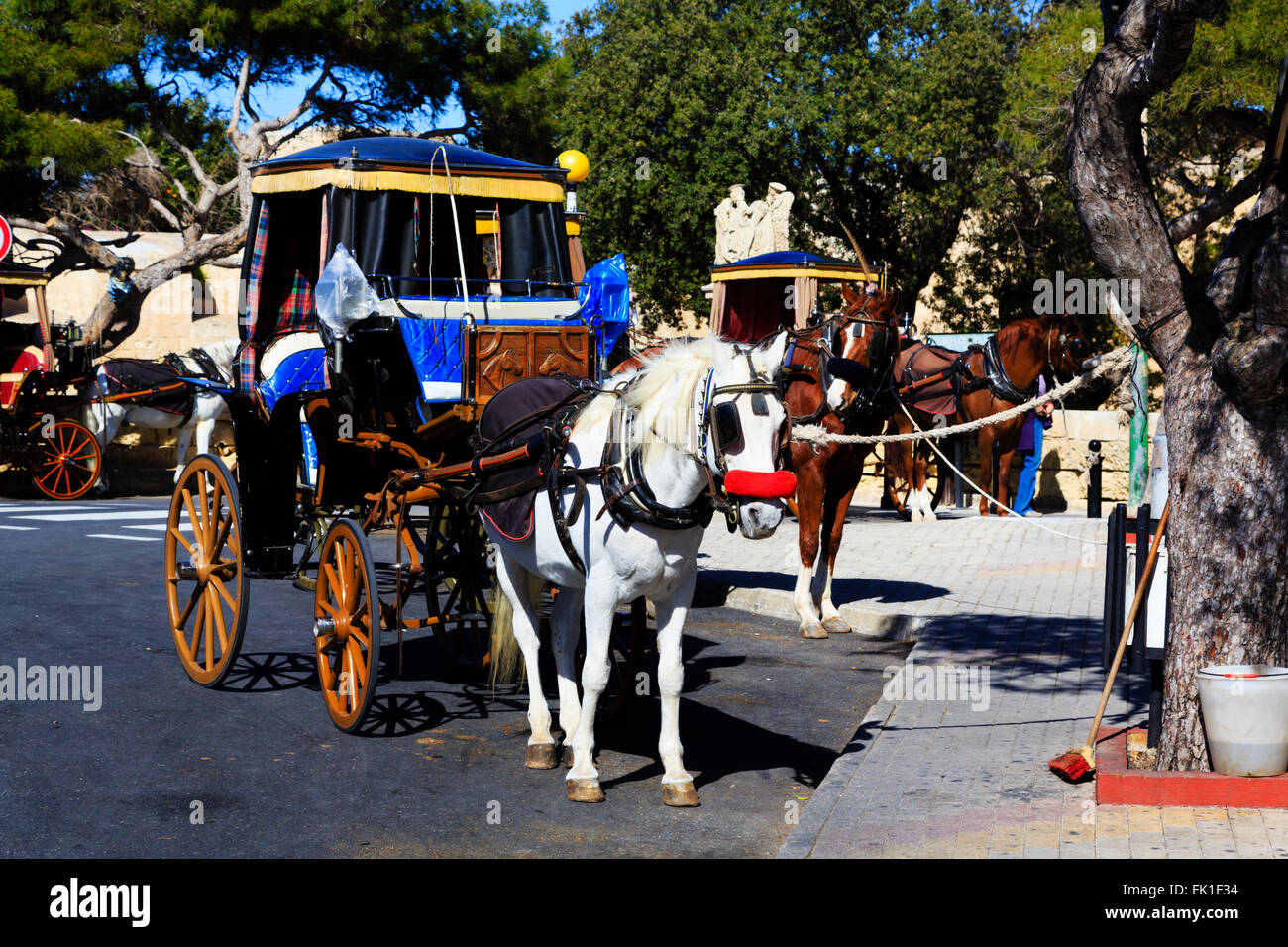 Maltese tradizionale cavallo karozzin fuori Mdina, Malta. Foto Stock