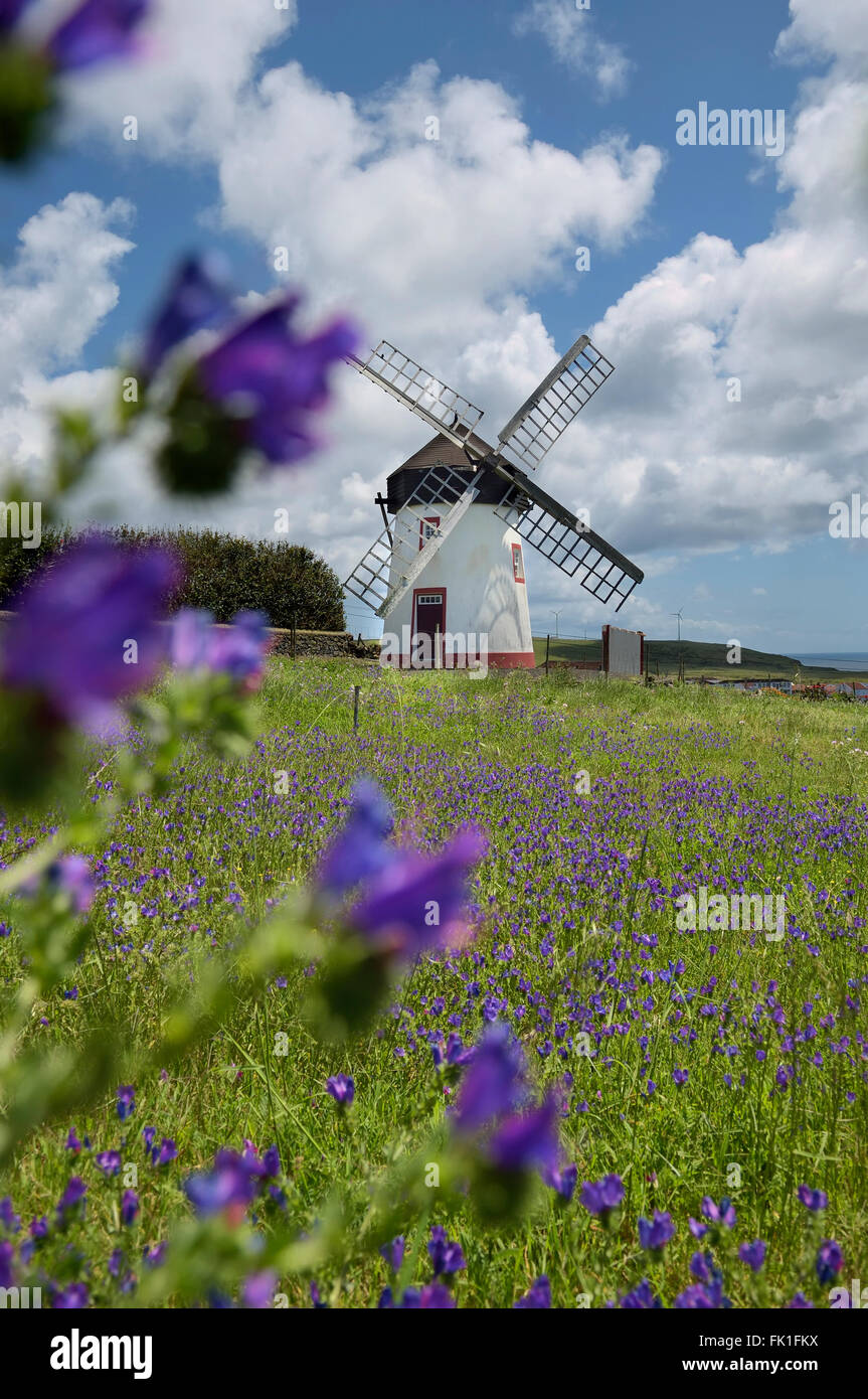 Il mulino a vento di Vila do Porto. Santa Maria Island, Azzorre. Portogallo Foto Stock