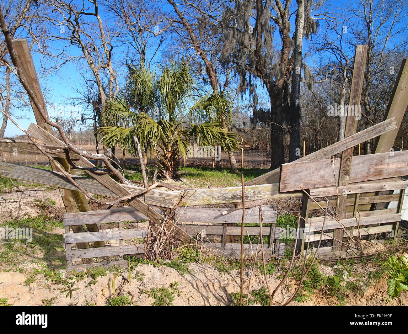 In legno pallet di spedizione sono state riciclate in materiale scherma per il bestiame in un clima meridionale. Foto Stock