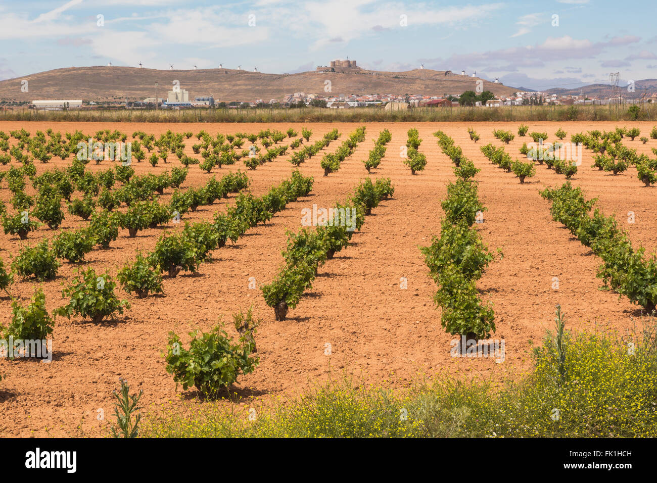Consuegra, provincia di Toledo, Castilla-La Mancha, in Spagna. La città, castelli e mulini a vento in distanza vista sui vigneti. Foto Stock