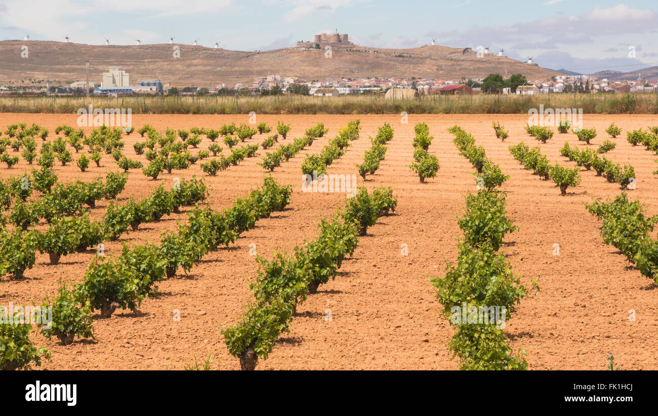 Consuegra, provincia di Toledo, Castilla-La Mancha, in Spagna. La città, castelli e mulini a vento in distanza vista sui vigneti. Foto Stock