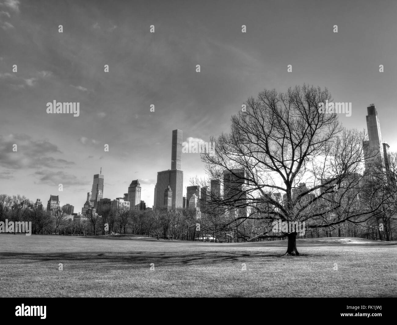 Vista dal central park in bianco e nero Foto Stock