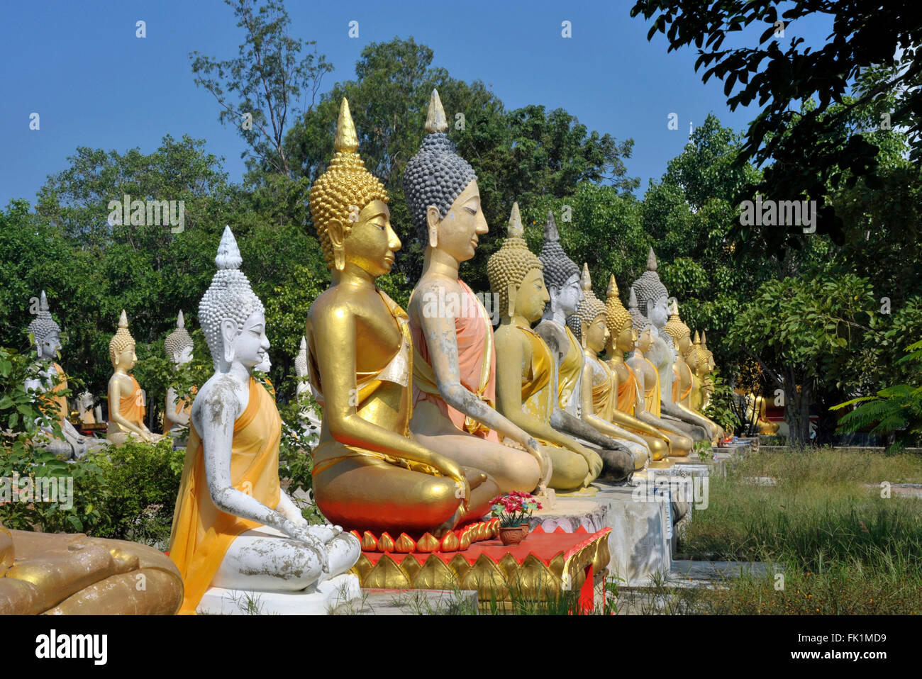 Campo di statue di Buddha a Wat Phai Rong Wua, Bang Sai, Suphanburi, Thailandia. Foto Stock