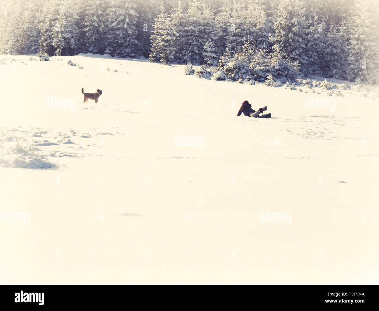 Ragazza che gioca con il cane nella neve Foto Stock