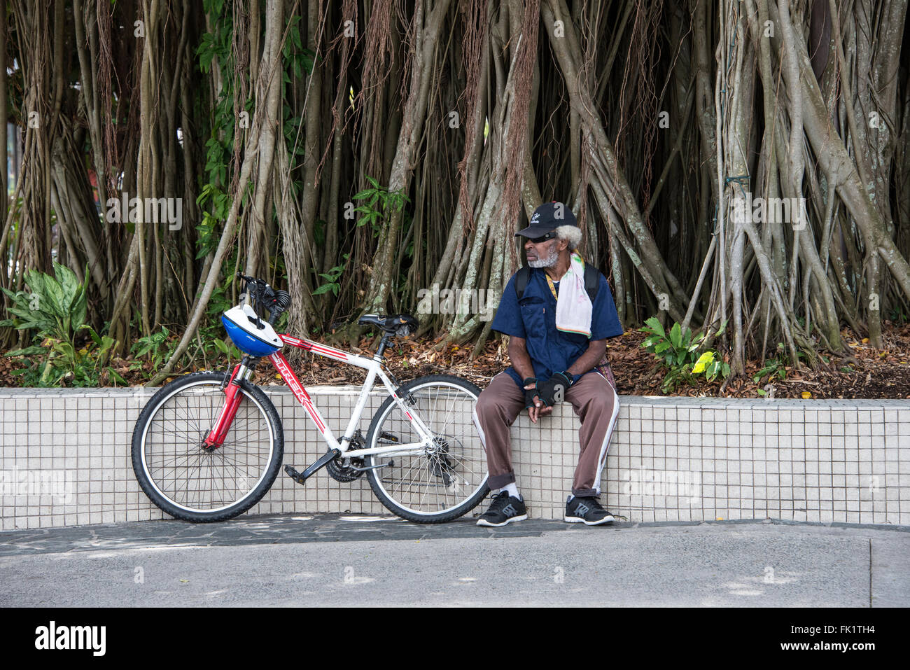 Un aborigeno ciclista con la sua bicicletta davanti a un Morton Bay fig tree è un grande albero sempreverde banyan tree al bivio di La Foto Stock