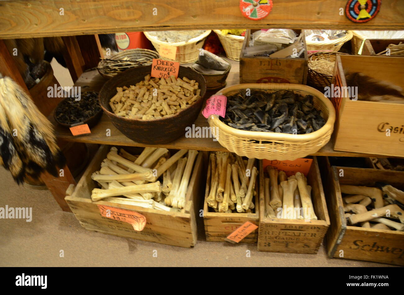 Varie ossa di animali e talloni clear creek trading company Sedona in Arizona Foto Stock