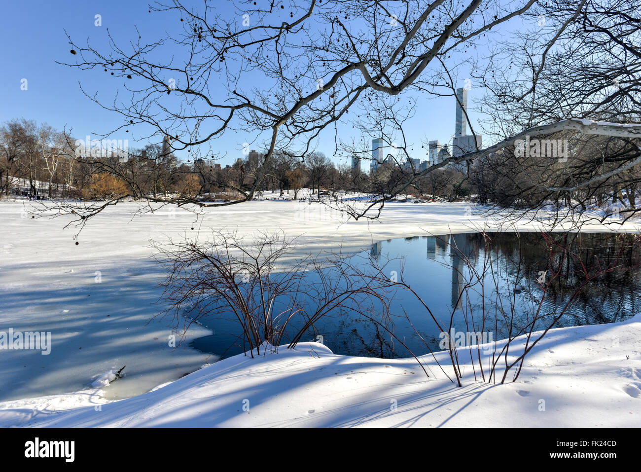 Il Central Park di New York City in seguito ad una tempesta di neve. Foto Stock