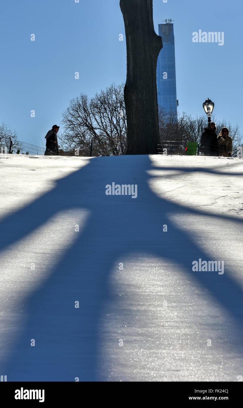 Le ombre degli alberi di Central Park di inverno in New York City. Foto Stock