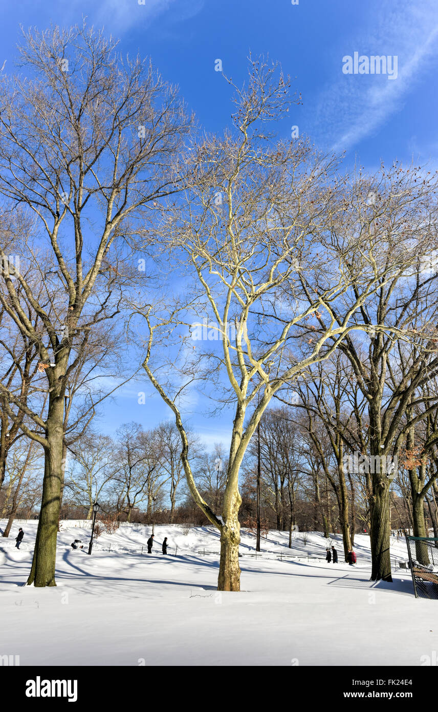 Il Central Park di New York City in inverno coperto da una coltre di neve. Foto Stock