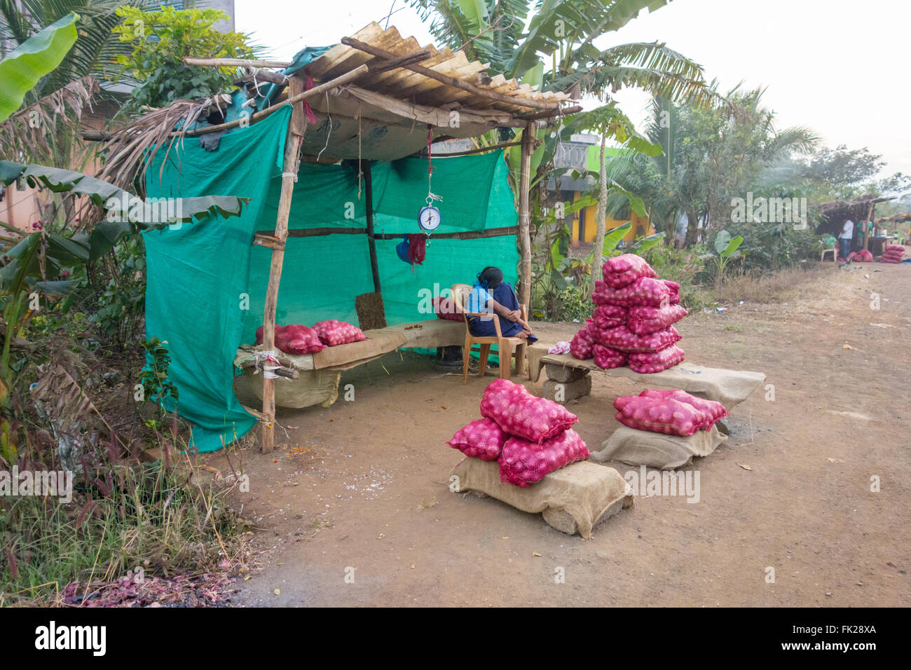 Giovani schoolgirl in seduta uniforme in corrispondenza di un bordo strada bancarella vendendo le cipolle a Kankumbi vicino al Chorla Ghats, Karnataka, India Foto Stock