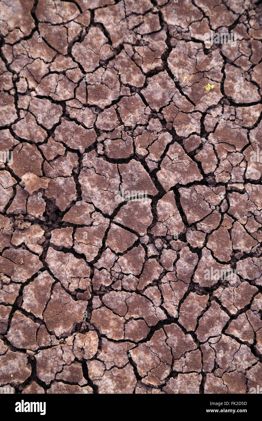 Essiccato il terreno asciutto su una farm. La siccità è ampia e regolare in Australia. Foto Stock
