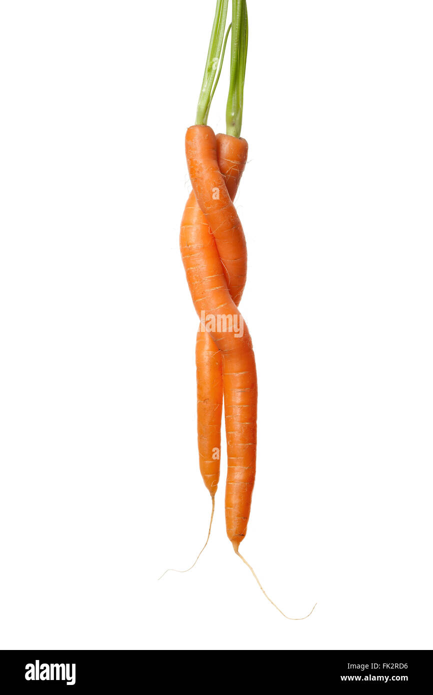 Due carote intrecciano su sfondo bianco con una stanza per il testo Foto Stock