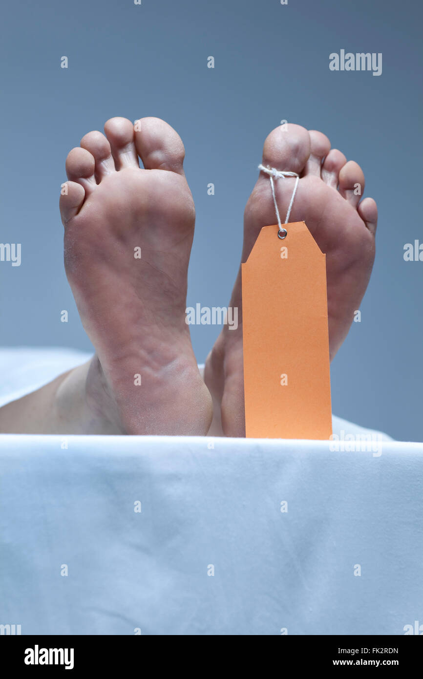Etichettato i piedi di un cadavere nella morgue Foto Stock