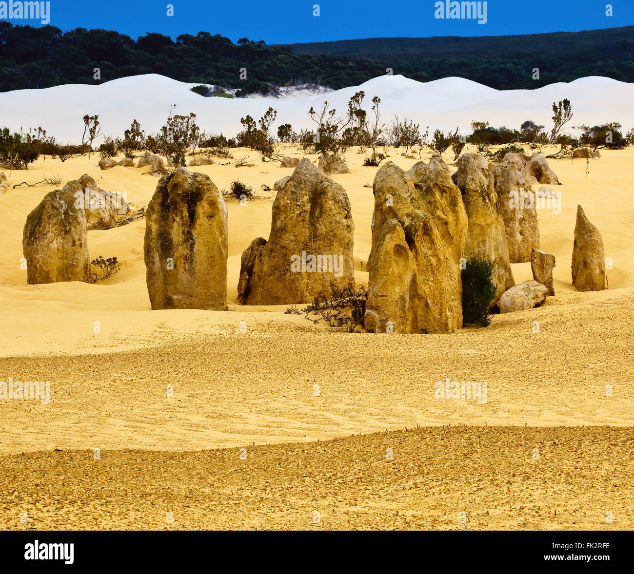 Famoso Deserto Pinnacles, Nambung National Park. Foto Stock