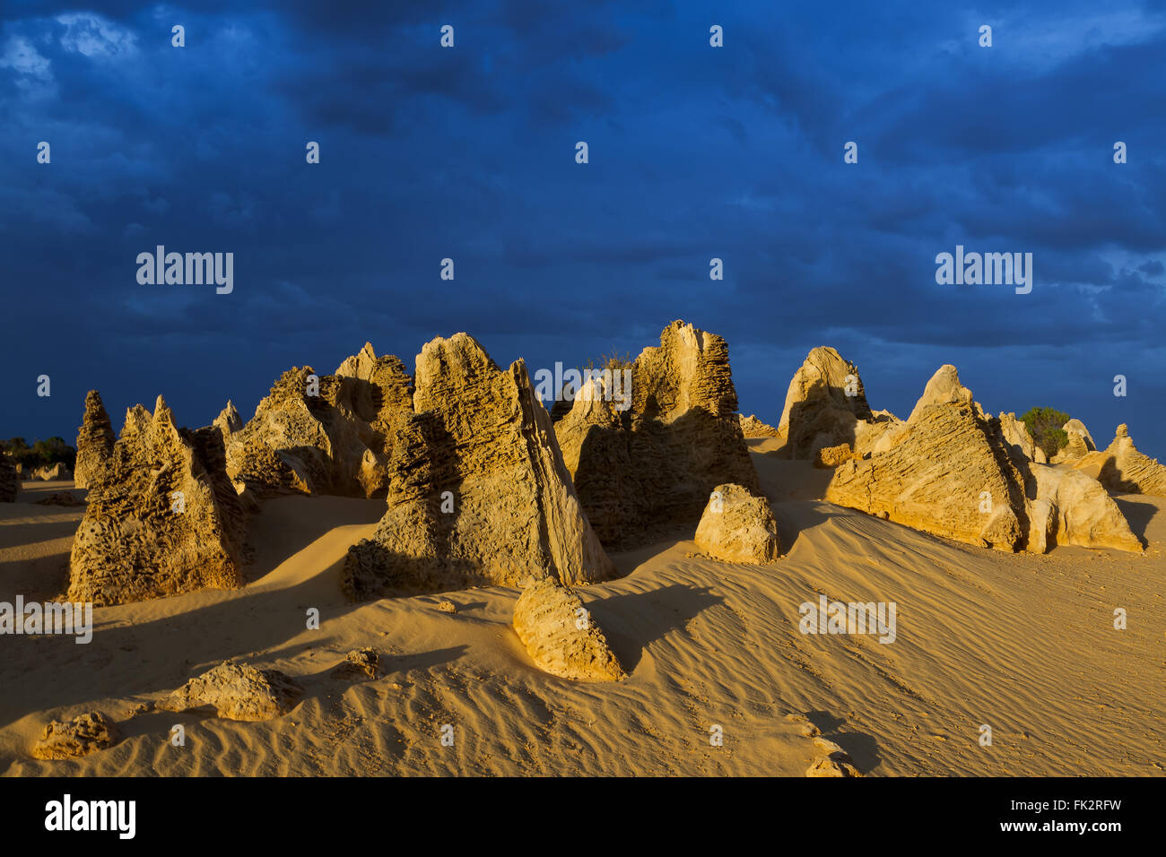 Famoso Deserto Pinnacles, Nambung National Park. Foto Stock