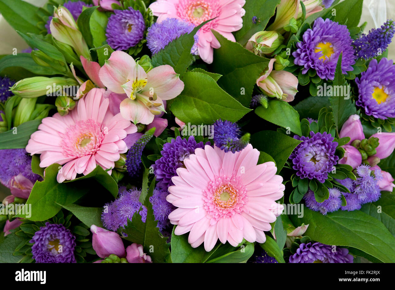 Freschi bouquet di fiori diversi frame completo Foto Stock