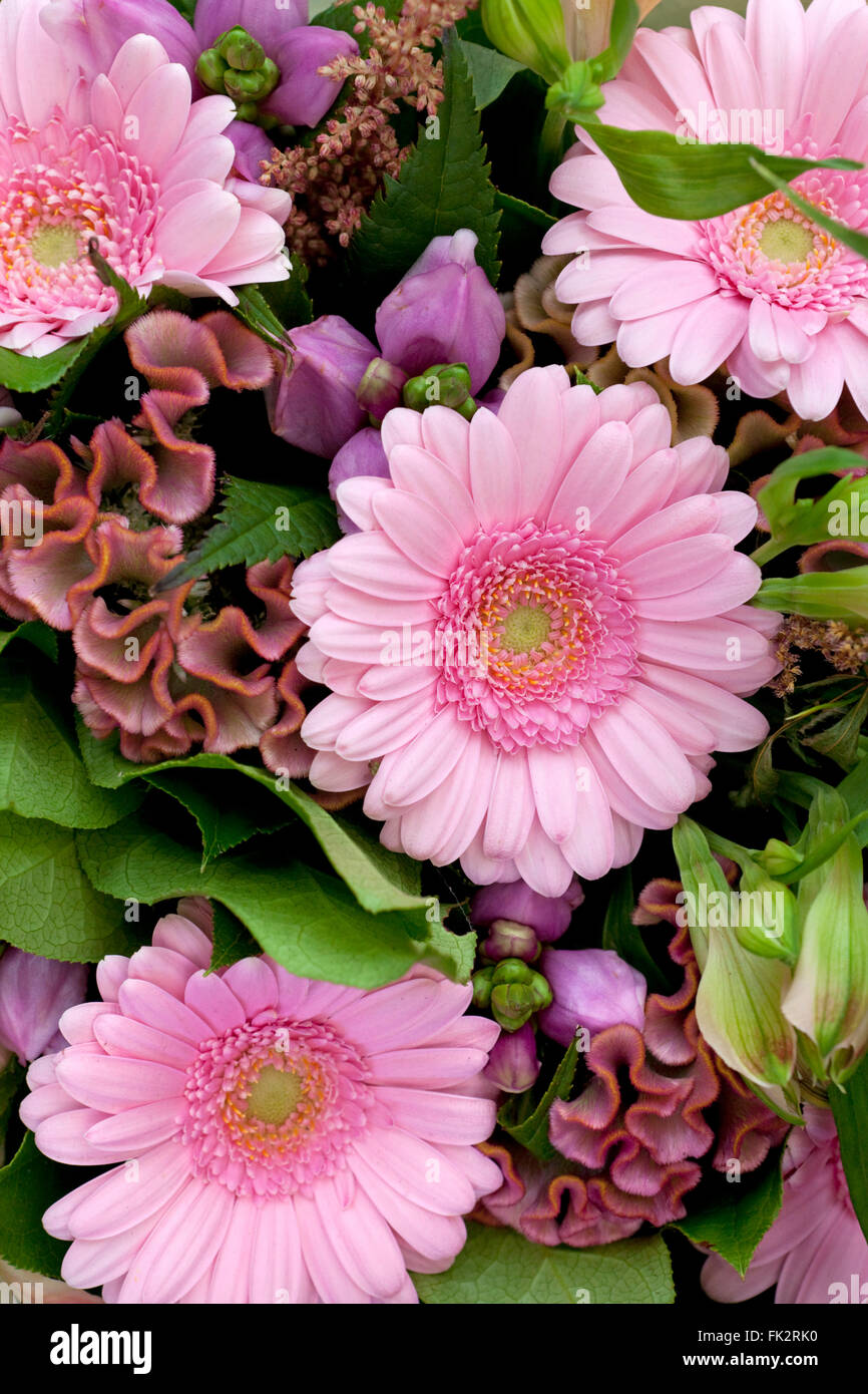 Bouquet fresco di diversi fiori rosa telaio completo Foto Stock