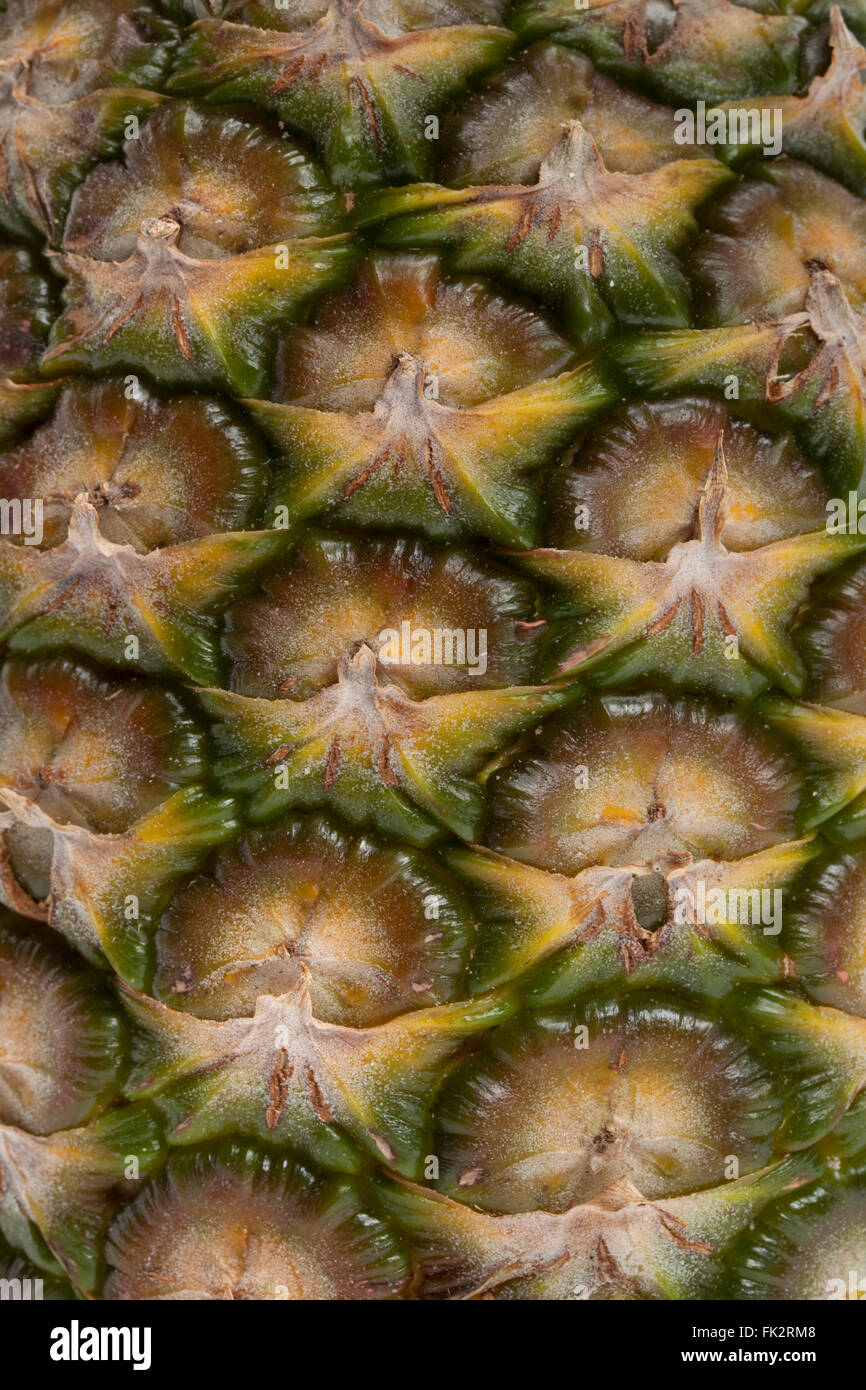 Close up della pelle di un ananas Foto Stock