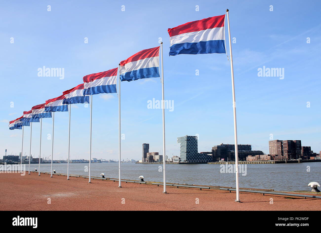 Sette bandiere olandese in movimento la costante brezza, Rotterdam, Paesi Bassi. Katendrecht, Nieuwe Maas river, skyline Rotterdam Foto Stock