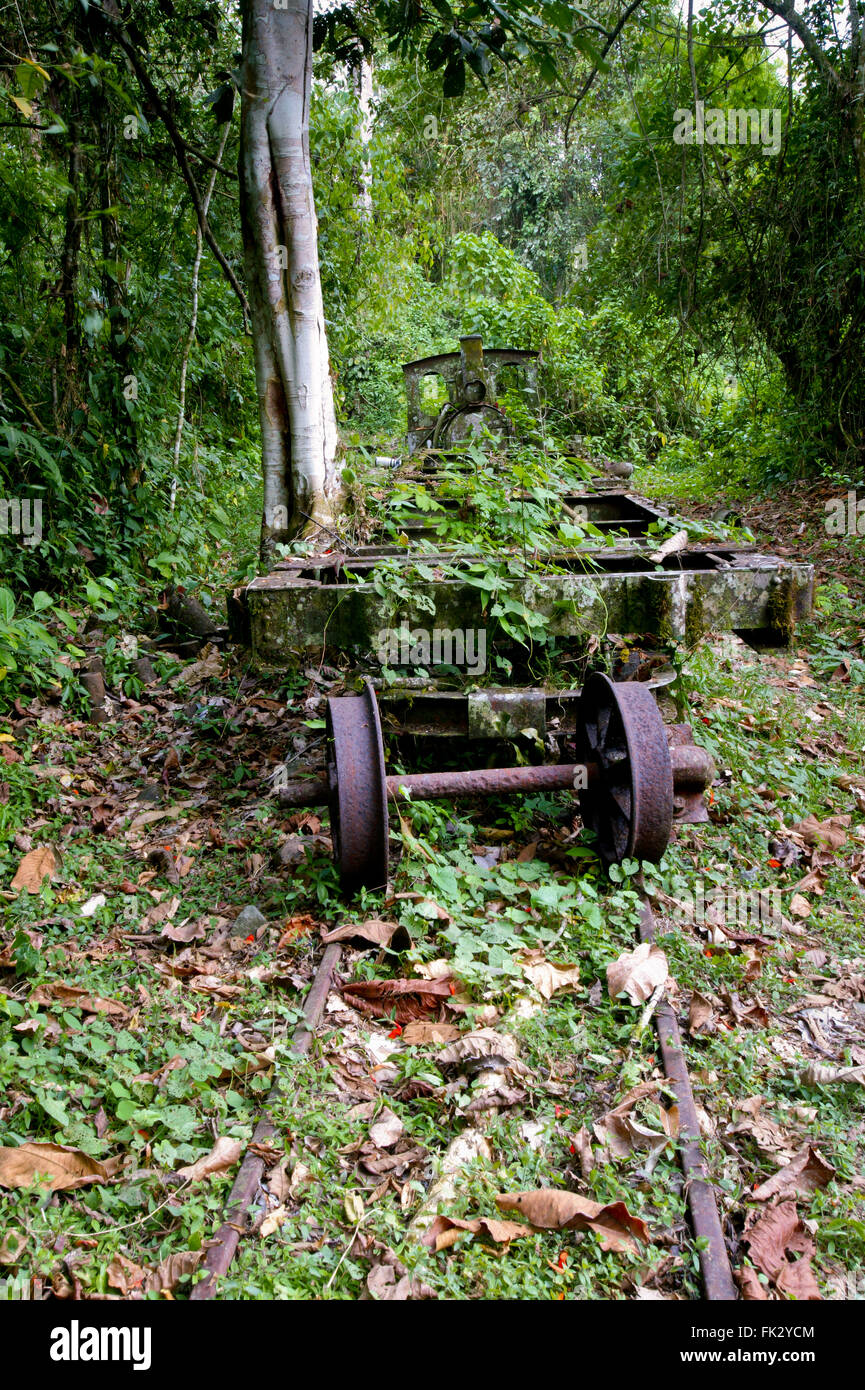 Vecchi vagoni e locomotori di Cana nel Parco Nazionale del Darién, provincia di Darien, Repubblica di Panama. Foto Stock