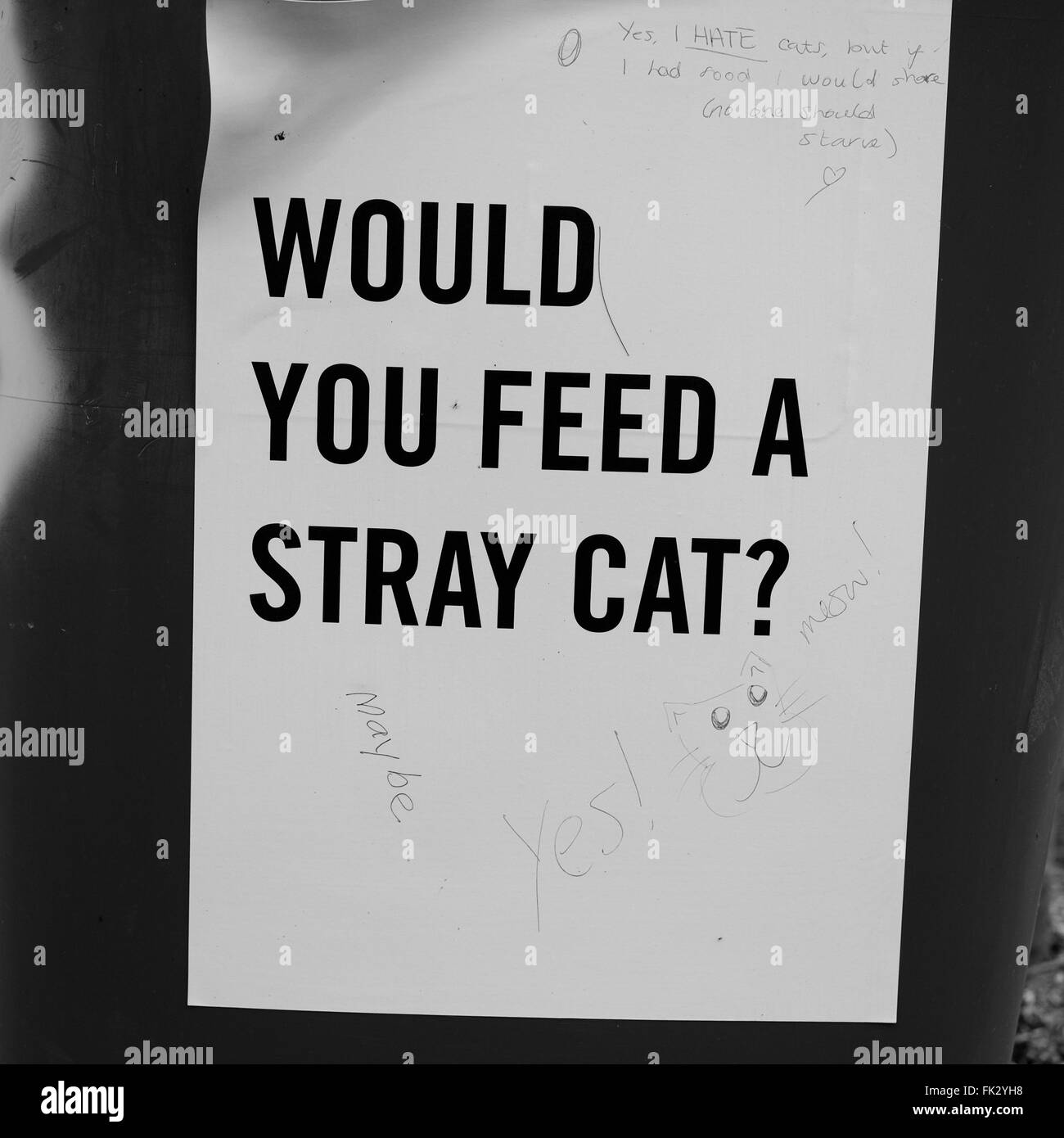Uno di una serie di poster che zampilla intorno a Falmouth evidenziando il dramma dei senzatetto in forma di domande Foto Stock