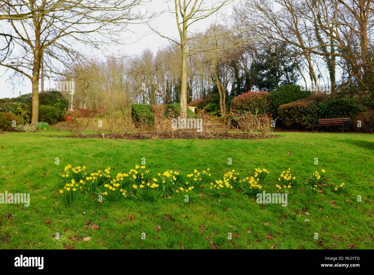 Billericay Essex REGNO UNITO - I Giardini del Festival Foto Stock