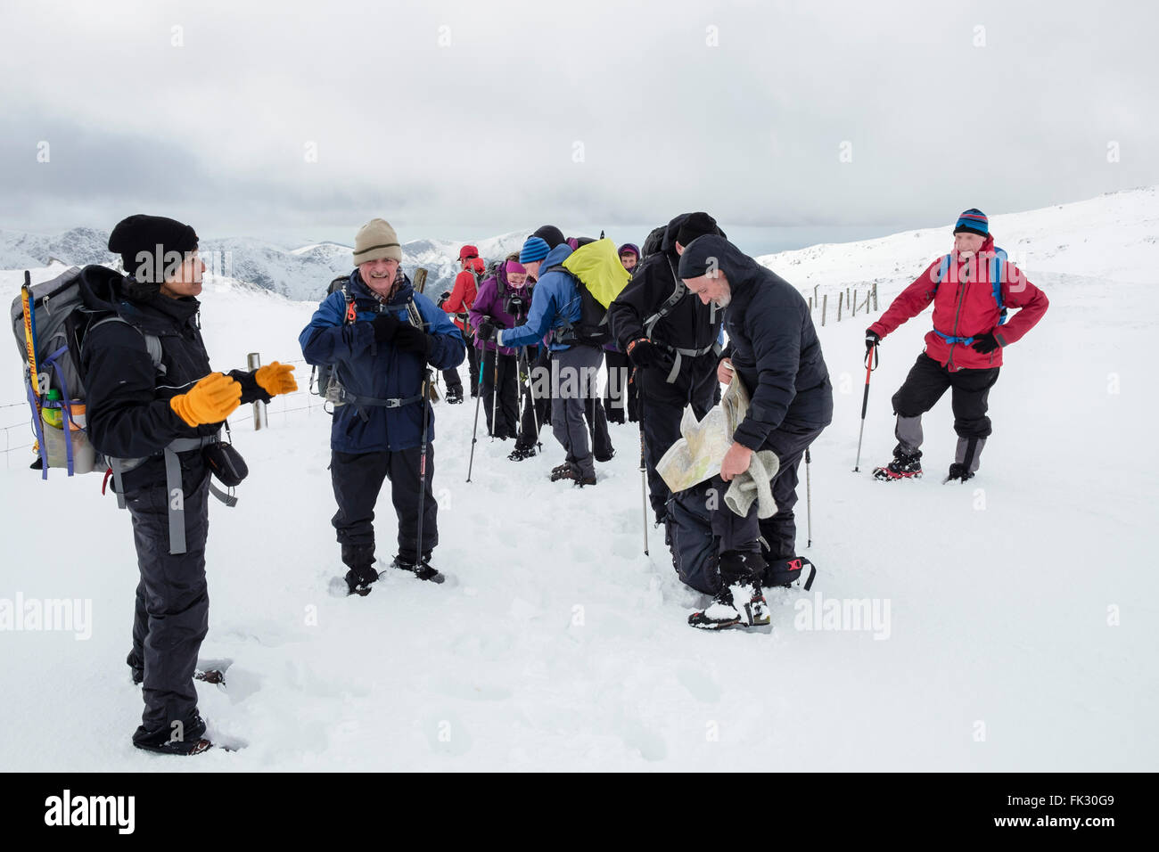 Ramblers group leader controllare una mappa mentre escursionismo su Y Garn nelle montagne di Snowdonia con la neve in inverno. Ogwen, North Wales UK Foto Stock