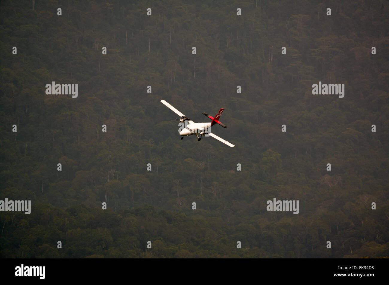 Twin Otter aereo da aria Panama è in arrivo per lo sbarco a Cana nel Parco Nazionale del Darién, Repubblica di Panama. Foto Stock