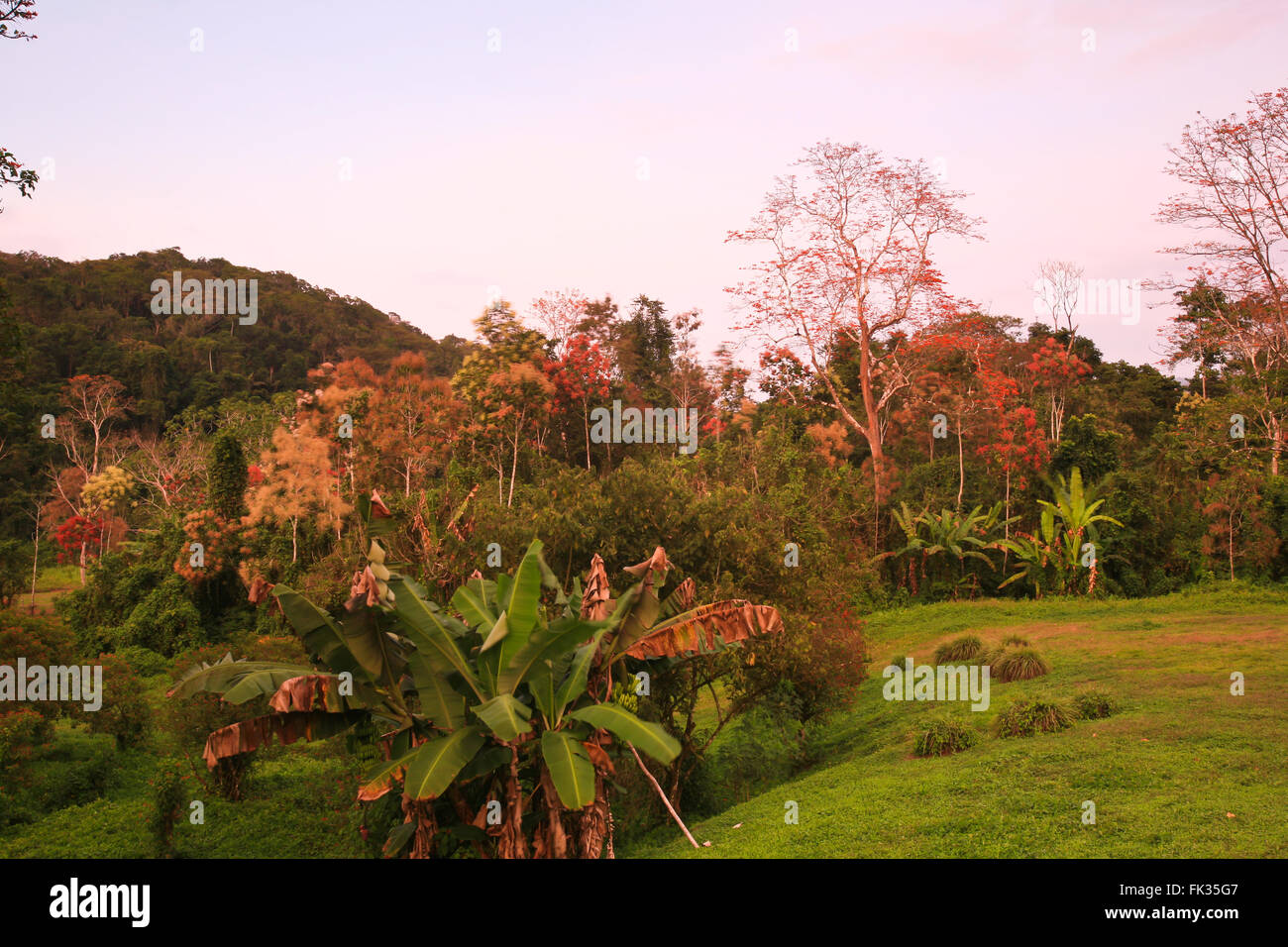 Sera a Cana la stazione di campo nel Parco Nazionale del Darién, Repubblica di Panama. Foto Stock